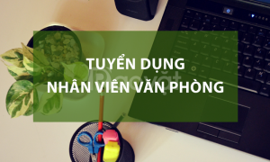 Cần tuyển 10 nhân viên văn phòng