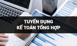 Tuyển dụng kế toán tổng hợp