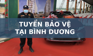 Việc làm bảo vệ tại Bình Dương